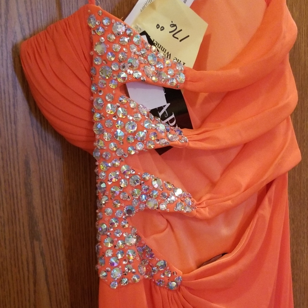 Prom/Event Dress - Picture 2 of 4